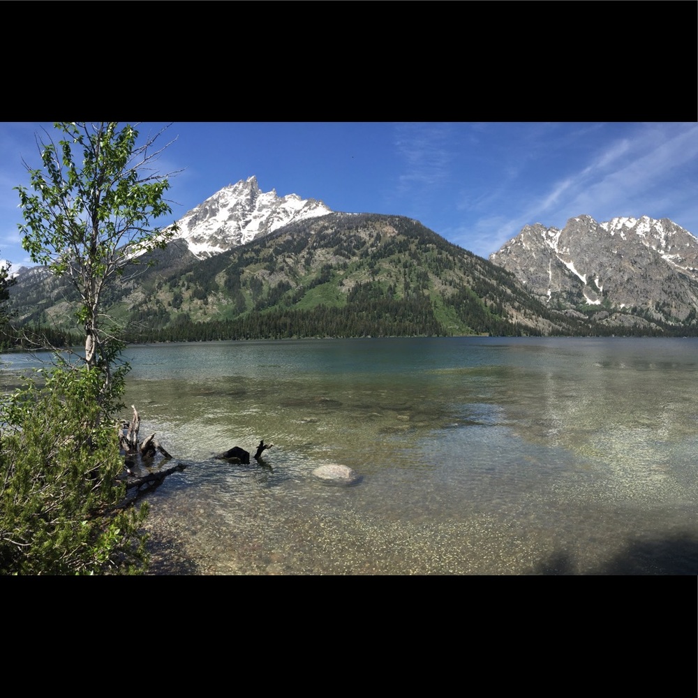 Meet your Posher, Kyley